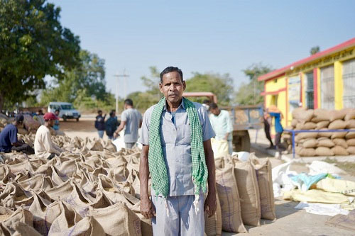 धान खरीदी का महाभियान: अब तक 93.12 लाख मैट्रिक टन धान की खरीदी