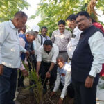 आयल पॉम की खेती के विषय पर कृषकों को दिया गया प्रशिक्षण