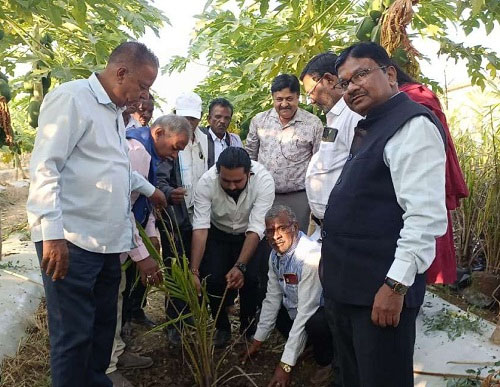 आयल पॉम की खेती के विषय पर कृषकों को दिया गया प्रशिक्षण