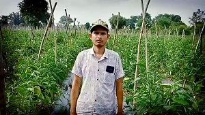 आधुनिक तकनीक से बदली खेती की दिशा