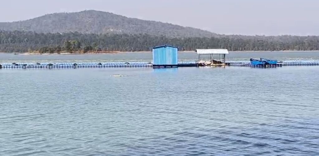 बांगो डेम के मछुआरों का ठेकेदारी नीति का विरोध — परिवार की आजीविका पर संकट