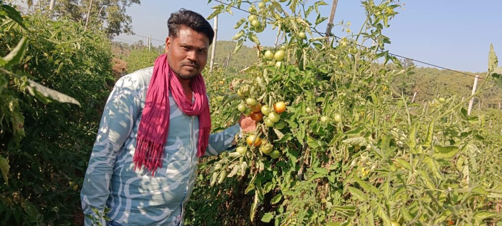 धान से उद्यानिकी की ओर, कामयाबी का सफर