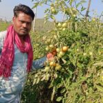 धान से उद्यानिकी की ओर, कामयाबी का सफर