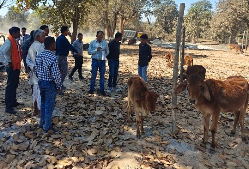 जिला स्तरीय पशु मेला आयोजित