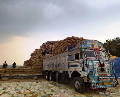जिले में धान उठाव ने पकड़ी रफ्तार : अबतक 4.82 लाख क्विंटल का हुआ सफल परिवहन