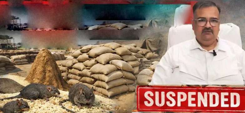 7 करोड़ का धान गायब ! DMO अभिषेक मिश्रा निलंबित