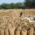 धान खरीदी के दौरान बड़ी कार्रवाई, 11 लाख क्विंटल अवैध धान जब्त