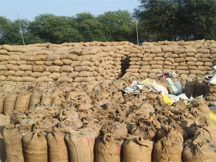 धान खरीदी के दौरान बड़ी कार्रवाई, 11 लाख क्विंटल अवैध धान जब्त