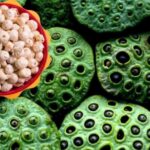 वनांचल क्षेत्र में आय के नए स्रोत : मखाना खेती से सशक्त होंगे महिला समूह