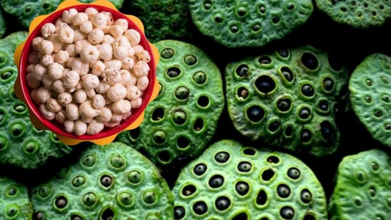 वनांचल क्षेत्र में आय के नए स्रोत : मखाना खेती से सशक्त होंगे महिला समूह