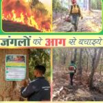 सुकमा वनमंडल ने 112 वन अग्नि प्रहरी नियुक्त किए, हेल्पलाइन नंबर 7587016212 जारी