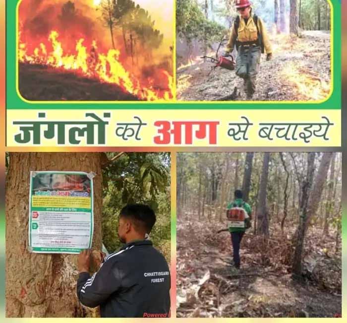 सुकमा वनमंडल ने 112 वन अग्नि प्रहरी नियुक्त किए, हेल्पलाइन नंबर 7587016212 जारी