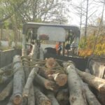 वन विकास निगम ने किया तस्करों का अवैध लकड़ी से भरा ट्रैक्टर जब्त