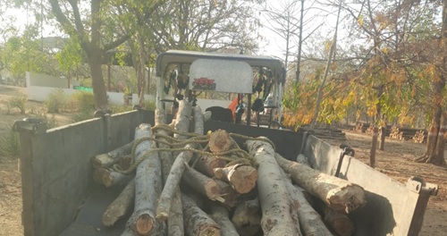 वन विकास निगम ने किया तस्करों का अवैध लकड़ी से भरा ट्रैक्टर जब्त