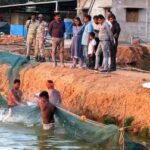 प्रधानमंत्री मत्स्य संपदा योजना से समृद्ध हो रहे किसान