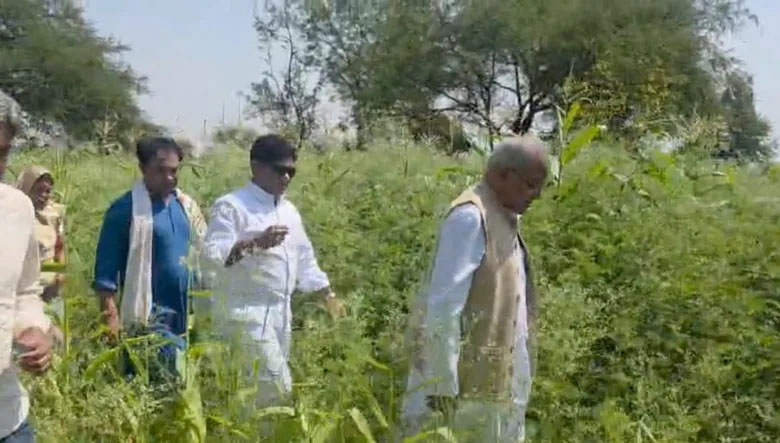 अफीम की खेती का मामला: नारकोटिक्स ब्यूरो भी जांच में जुटा,भूपेश बघेल भी पहुंचे भाजपा नेता के खेत