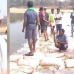 भैरमगढ़ के इंद्रावती नदी पर बोरियों में रेत भरकर पुल बनाने में जुटे सैकड़ो ग्रामीण