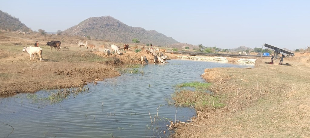 मनरेगा से पनारी नाले का जीर्णोद्धार: 1200 ग्रामीणों को पेयजल व सिंचाई का लाभ