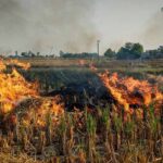 बेमेतरा में बढ़ती गर्मी के बीच पराली जलाने पर रोक की अपील, कृषि विभाग ने दी चेतावनी