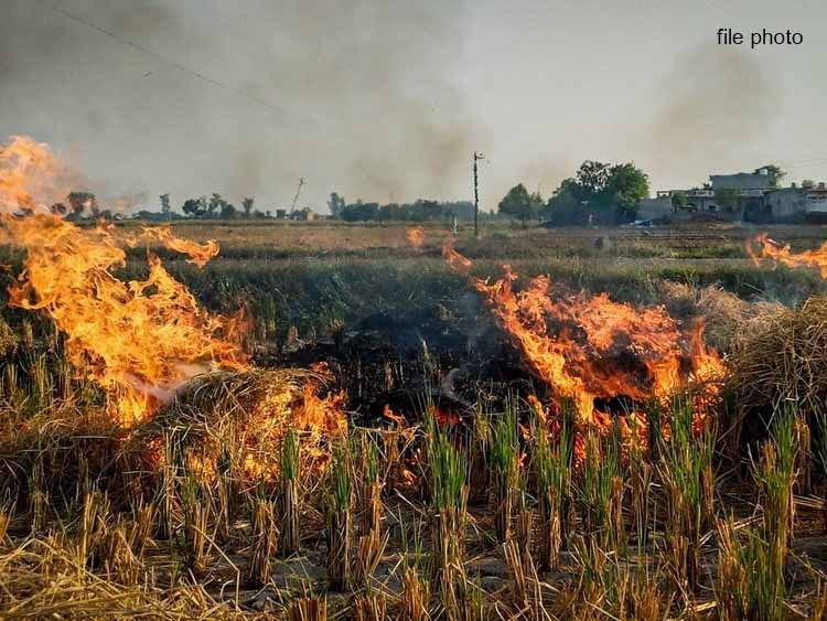 बेमेतरा में बढ़ती गर्मी के बीच पराली जलाने पर रोक की अपील, कृषि विभाग ने दी चेतावनी
