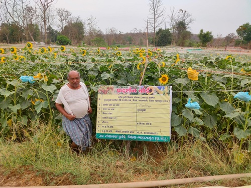 ग्रीष्मकालीन तिलहन खेती से समृद्धि की ओर अग्रसर किसान