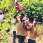 रायगढ़ में मधुमक्खियों का हमला: साइंटिस्ट, रिसर्चर समेत 7 घायल, सिंघनपुर गुफा में हादसा