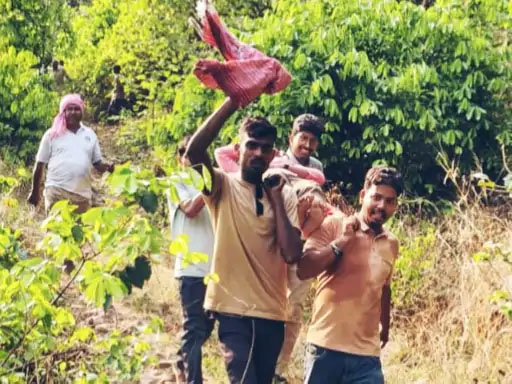 रायगढ़ में मधुमक्खियों का हमला: साइंटिस्ट, रिसर्चर समेत 7 घायल, सिंघनपुर गुफा में हादसा