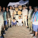 अवैध लकड़ी परिवहन पर बड़ी कार्रवाई, 8 नग साल लट्ठा सहित पिकअप वाहन जब्त