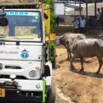 मालवाहक से 19 भैंस बरामद, पशु तस्कर मौके से फरार