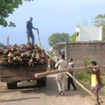 गौरेला के जंगलों में वन विभाग की सर्जिकल स्ट्राइक: 500 सागौन की बल्लियां जब्त, लकड़ी तस्करों में हड़कंप
