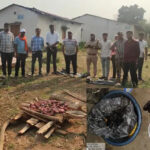रतनपुर में वन विभाग का छापा, जंगली सूअर के मांस की अवैध बिक्री पकड़ी गई