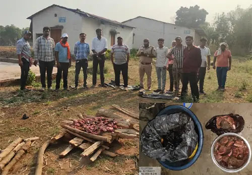 रतनपुर में वन विभाग का छापा, जंगली सूअर के मांस की अवैध बिक्री पकड़ी गई