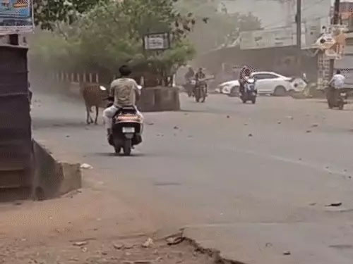 मौसम विभाग की चेतावनी: CG में तेज आंधी-बारिश का अलर्ट, 60KM की हवाएं