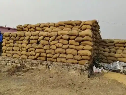 3 उपार्जन केंद्रों में धान खरीदी घोटाला, जांच के बाद 7 कर्मचारियों पर FIR