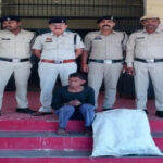 खेतों के बीच अवैध गांजा खेती पकड़ी गई: मंगोरा में 36 पौधे जब्त