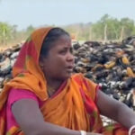 माझीकुटनी गांव में खलिहान में लगी आग: मक्के की तैयार फसल जलकर राख