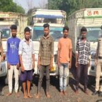 पुलिस का एक्शन: मवेशी तस्करी गिरोह पकड़ा, 5 आरोपी और 3 पिकअप जब्त
