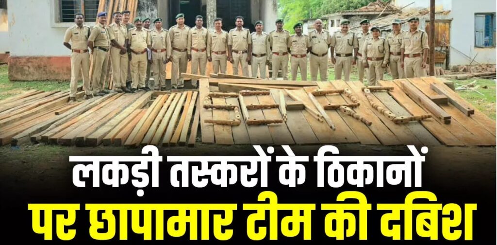 लकड़ी तस्करों के ठिकानों पर छापामार टीम की दबिश, इमारती लकड़ियों का मिला भंडार