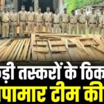 लकड़ी तस्करों के ठिकानों पर छापामार टीम की दबिश, इमारती लकड़ियों का मिला भंडार