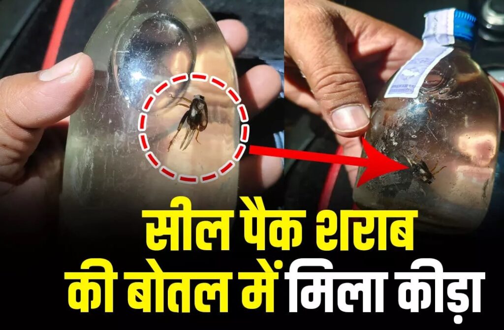 सील पैक शराब की बोतल में मिला कीड़ा, सेल्समैन के घर शराब की फैक्ट्री, CG के बलौदाबाजार, सक्ती जिले में सब-कुछ उलटा-पुलटा