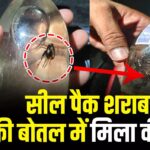 सील पैक शराब की बोतल में मिला कीड़ा, सेल्समैन के घर शराब की फैक्ट्री, CG के बलौदाबाजार, सक्ती जिले में सब-कुछ उलटा-पुलटा