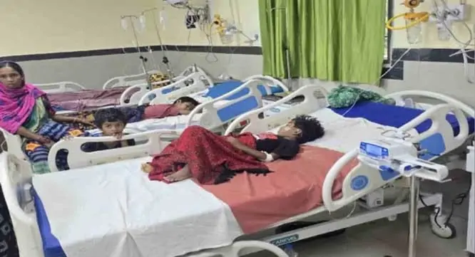 कांकेर में मलेरिया से 10 दिन में 3 मौतें, बस्तर संभााग में 8426 मरीज पॉजिटिव मिले