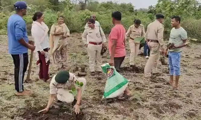 वन भूमि से तीसरी बार अवैध कब्जा हटाकर, किया गया पौधरोपण