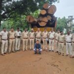 कोरबा वन मंडल ने की 20 घनमीटर अवैध साल लकड़ी बरामद,मुख्य आरोपी गिरफ्तार