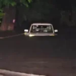 नाले में फंसी पुलिस की बोलेरो, चालक पेड़ पर चढ़ा, दो अधिकारियों की बचाई गई जान