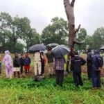 वनविभाग द्वारा वन भूमि में अवैध अतिक्रमण को हटाकर किया जा रहा पौधरोपण
