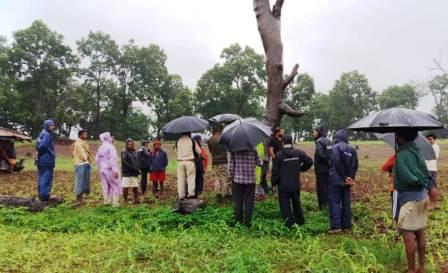 वनविभाग द्वारा वन भूमि में अवैध अतिक्रमण को हटाकर किया जा रहा पौधरोपण