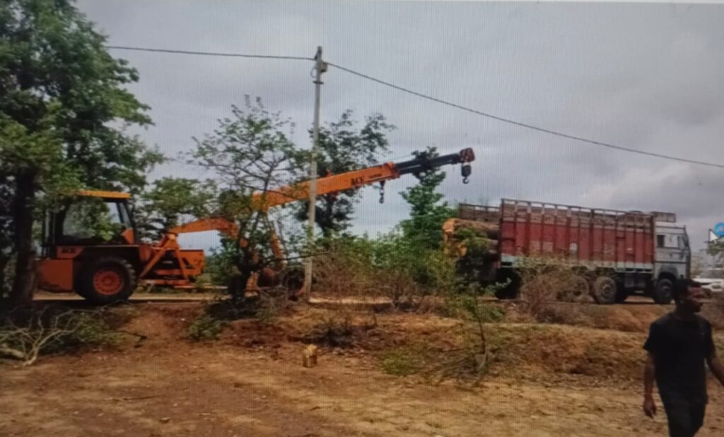 फर्जी वन विभाग की सील लगाकर भेजी जा रही थी आम की लकड़ी, प्रशासन की बड़ी कार्रवाई