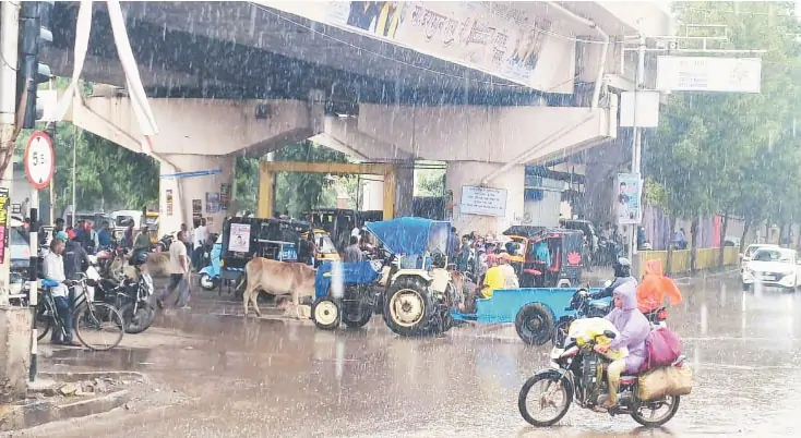 रविवार को हुई झमाझम बारिश ने लोगों को दी गर्मी और उमस से राहत