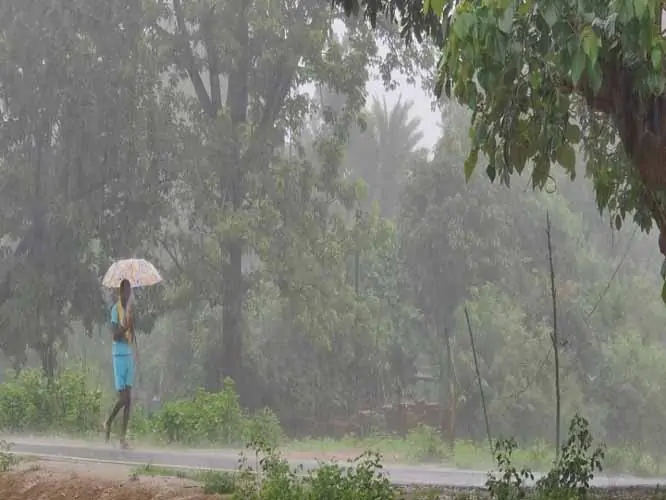 मौसम विभाग ने बस्तर संभााग के साताें जिलाें के लिए जारी किया येलो अलर्ट
